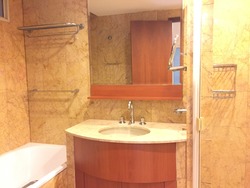 Rafflesia Condominium (D20), Condominium #177470672